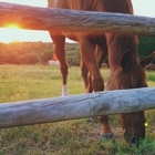 Mahoney State Park