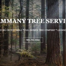 Tammany Tree Service - Tree Service