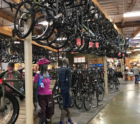 Rei - San Jose, CA