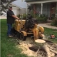 Gardner Stump Removal