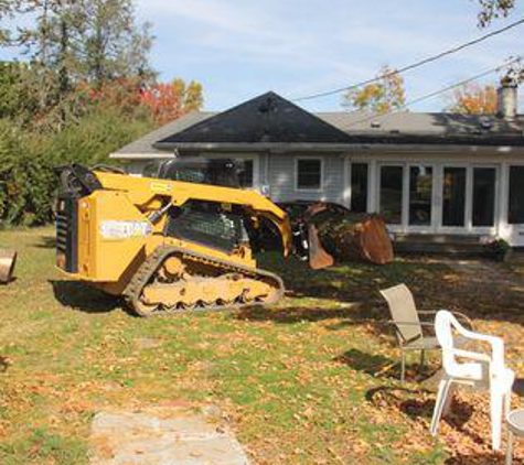 Tri-Cities Tree Service-Cabin Fever - Kingsport, TN