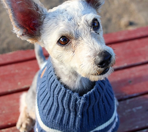 Helen Woodward Animal Center - Rancho Santa Fe, CA