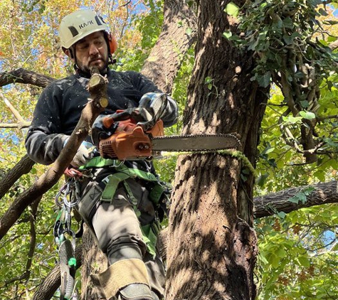 Ohio Tree Care - Columbus, OH