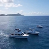 Waikiki Dive Center gallery
