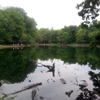 Ford Nature Education Center gallery