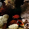Seascape Designs gallery