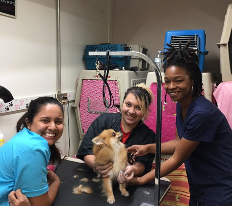 Friend & Companion Dog Grooming and Teaching Academy - Houston, TX. Students!