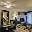Ellington Apartments - Apartments