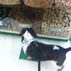 Pet Supplies Plus gallery