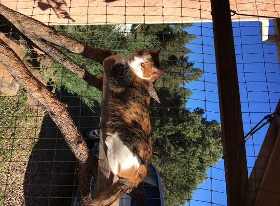 Fisher's Peak Veterinary Clinic - Trinidad, CO