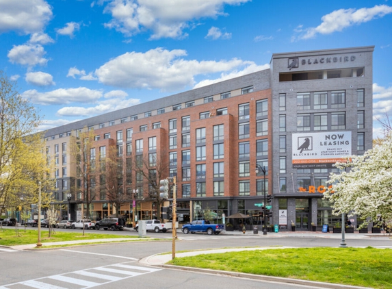 Blackbird Apartments - Washington, DC