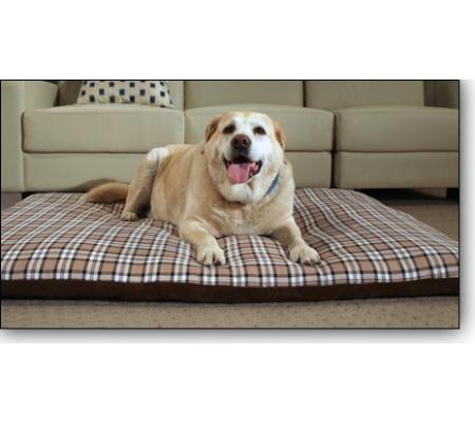 Dogs To Bed - West Wodonga, VIC