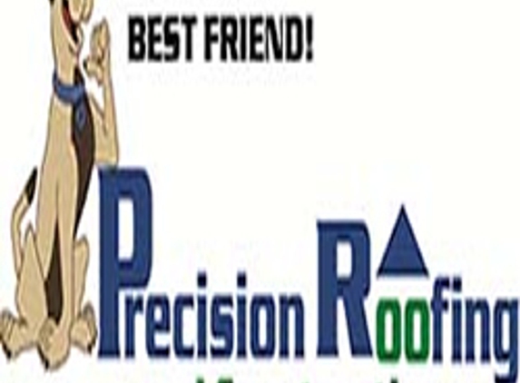 Precision Roofing & Construction - Grant Township, MI