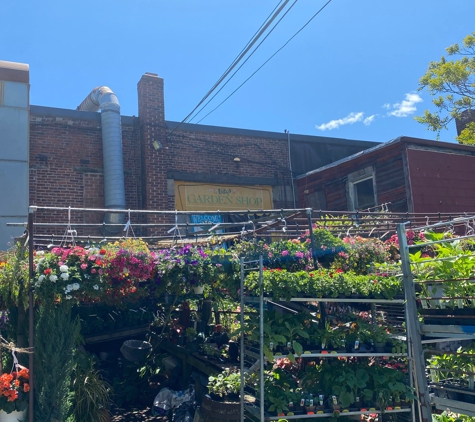 Ricky's Flower Market - Somerville, MA