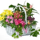 STANLEY's Florist & Gifts, 800USAsend.com - Florists
