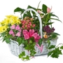 STANLEY's Florist & Gifts, 800USAsend.com