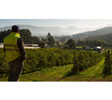 Hansen Orchards Pty Ltd - Grove, TAS