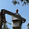Tree Service By Curtis, Inc. gallery