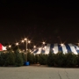 Jeff Patton Christmas Trees Lights and Decorations