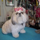 Carol's Pretty Pets Salon