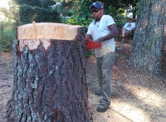 Real Tree Guys Tree Service