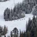 Terry Peak Ski Area - Skiing Equipment