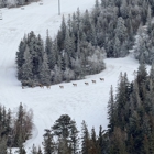 Terry Peak Ski Area