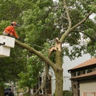 Strickland Tree Service Inc