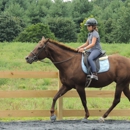 Horizons Horseback Equestrian Center - Horse Training