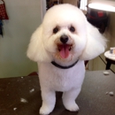 Bark'N Barber Pet Salon - Pet Grooming