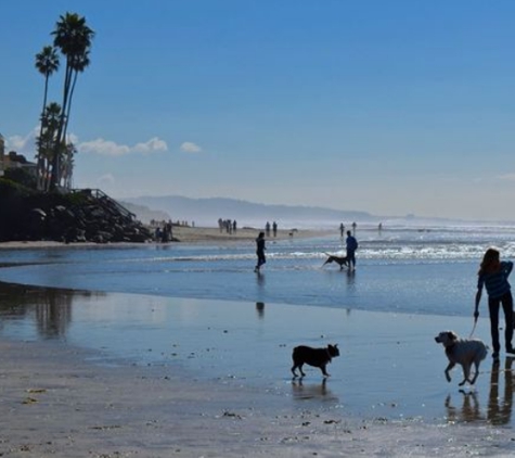 Solana Beach Dog Walk Co. - Solana Beach, CA. Dog Beach