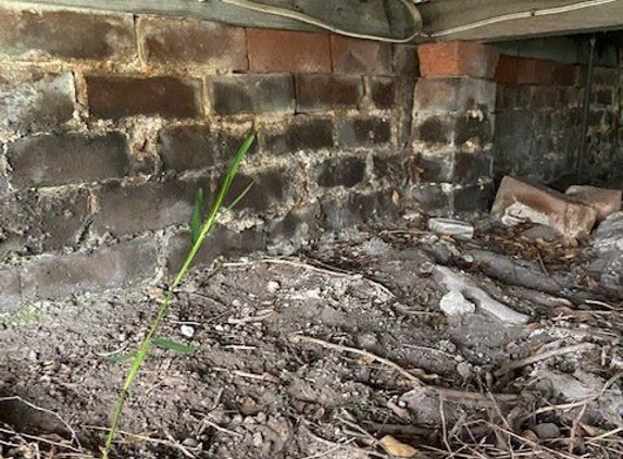 Precision Building. Rising Damp