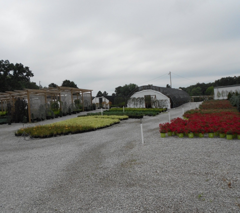 Payne Nursery - Sparta, TN