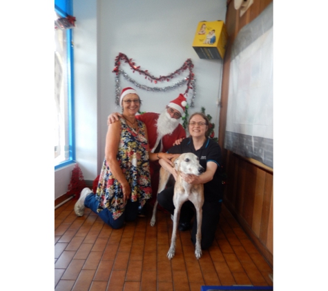 Cronulla Veterinary Clinic - Cronulla, NSW