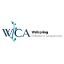 Wellspring Chiropractic Acupuncture - Acupuncture