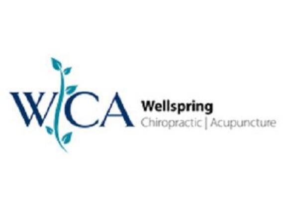 Wellspring Chiropractic Acupuncture - Algonquin, IL