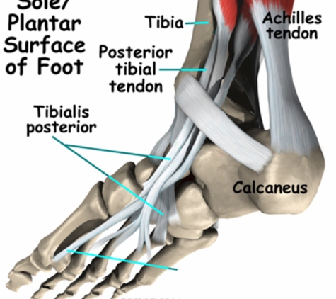 Footsmart Podiatry - Mooloolaba, QLD