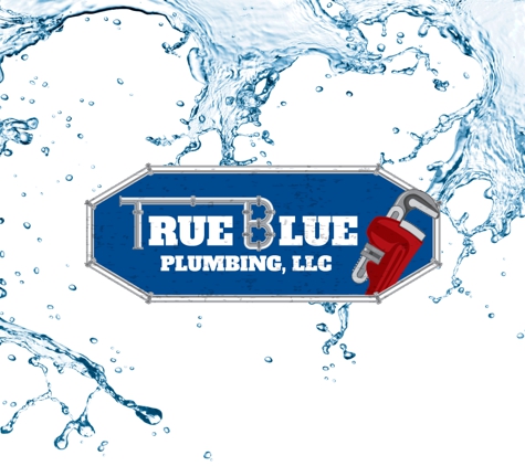 True Blue Plumbing - Kansas City, MO