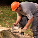 Kenny's Tree Service, L.L.C. - Tree Service