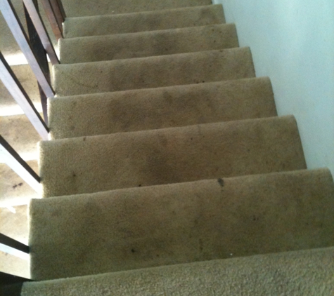 M & M Carpet & Upholstery Cleaning