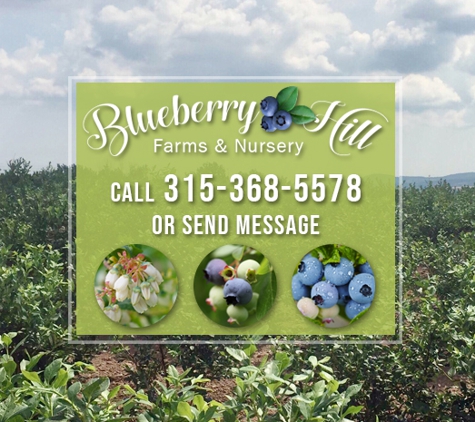 Blueberry Hill Farms & Nursery - Clinton, NY