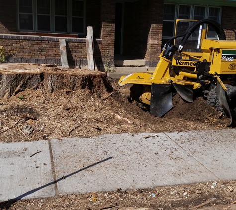 Steve's Stump Grinding - Salt Lake City, UT