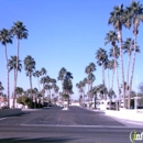 Palm Shadows - Parks