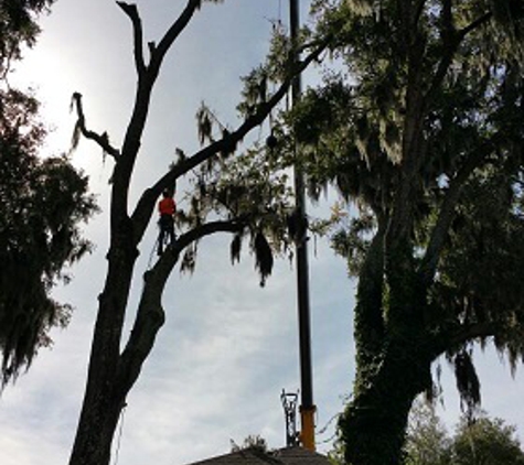 Wood's Tree Service - Panama City, FL