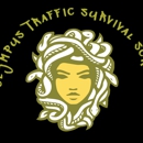 Olympus Traffic Survival School and Interlock - Driving Instruction
