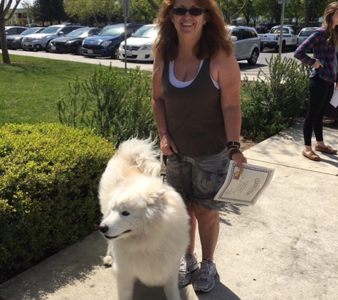 Wagging Tails Training - Brentwood, CA
