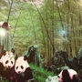 Panda House