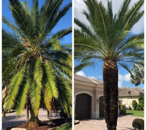 EPS Landscaping & Tree Service - Pembroke Pines, FL