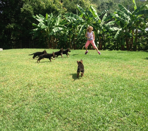 ICNDF Dog Training Center - Saint Augustine, FL