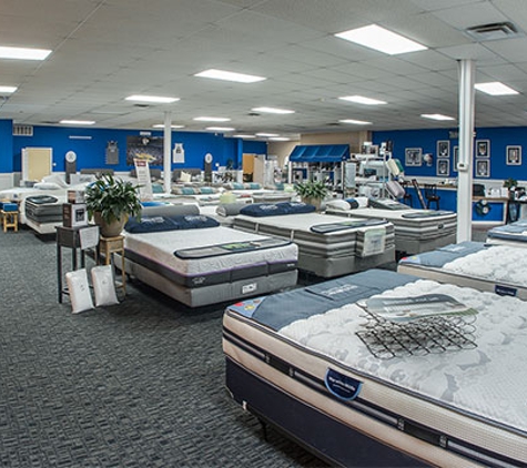 Wildcat Mattress - Nicholasville, KY